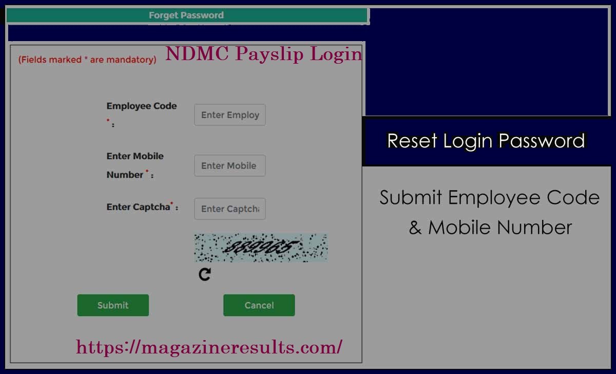 ndmc payslip login